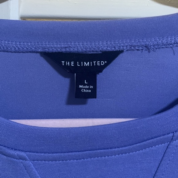 The Limited Dress - Picture 4 of 7